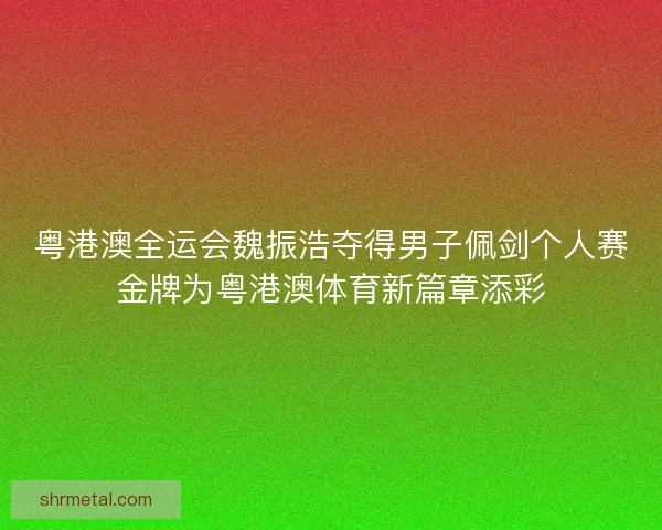 粤港澳全运会魏振浩夺得男子佩剑个人赛金牌为粤港澳体育新篇章添彩
